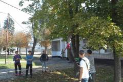 IMG-5334f19b3fa2c214396452f7af75a37b-V