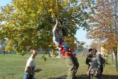 IMG-63c5b068a22d06b5a913709bcb33ee88-V