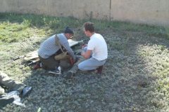 IMG-7e187ae4caf319286da15588e03e1238-V